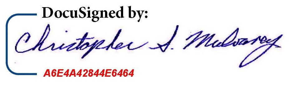 BlueNotary signature block — Christopher S. Mulvaney handwritten signature with document ID A6E4A42844E6464